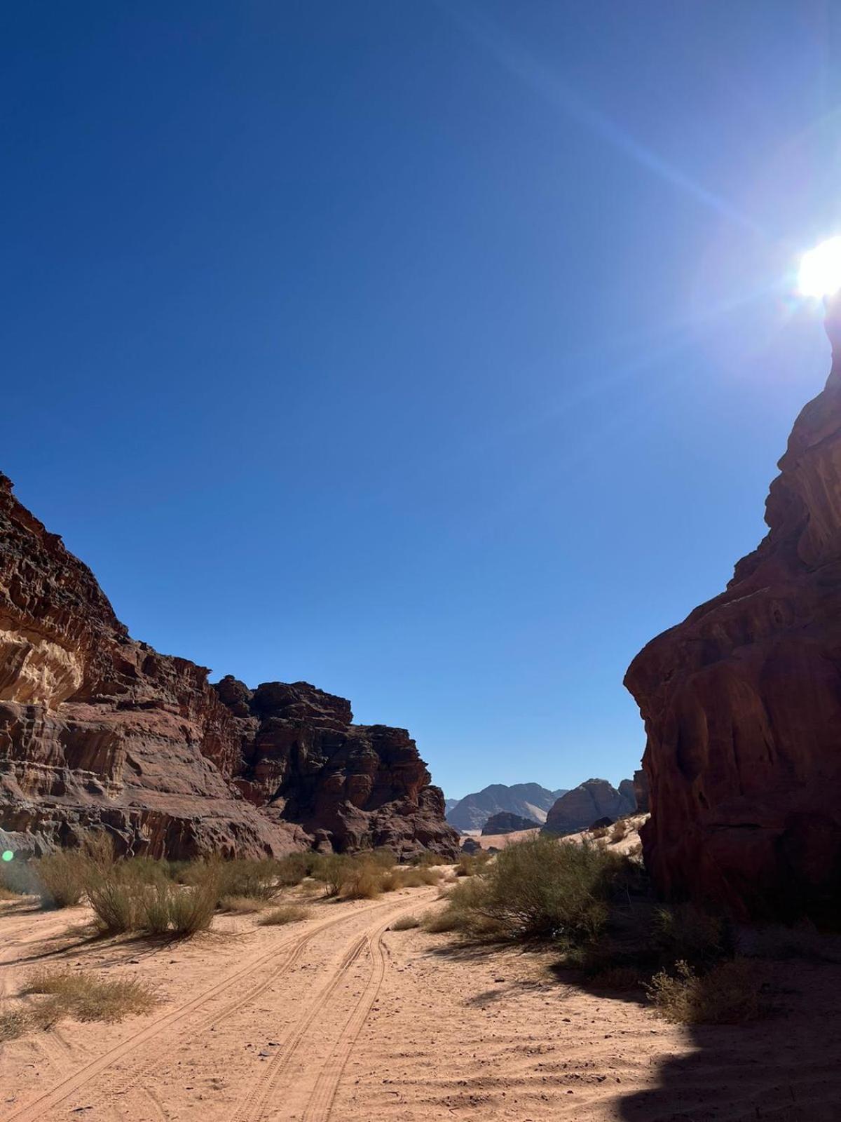 Desert Rock Camp Wadi Rum Eksteriør bilde